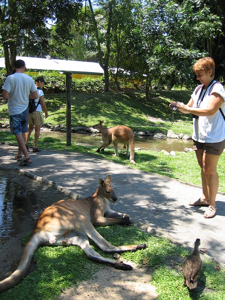 244 Wildlife Habitat Port Douglas.jpg